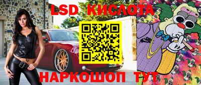 Альфа ПВП Новодвинск