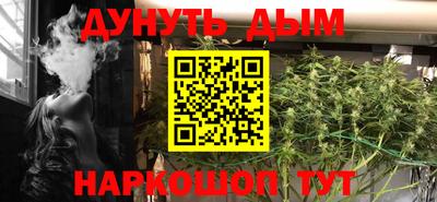 Альфа ПВП Новодвинск