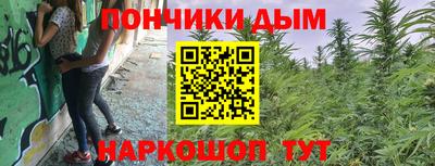 Альфа ПВП Новодвинск